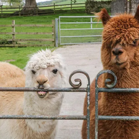 Bay Horse Farm Semesterbostad Skipton