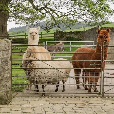 Bay Horse Farm Ferienhaus Skipton