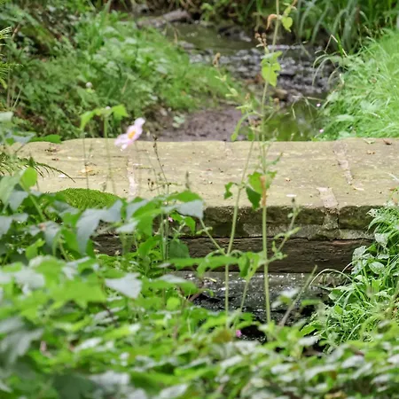 펜션 Bay Horse Farm 스킵턴