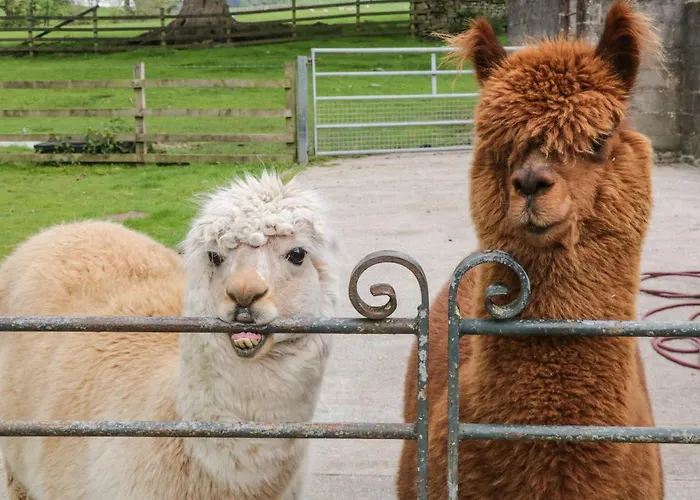 Bay Horse Farm Дом отдыха Скиптон