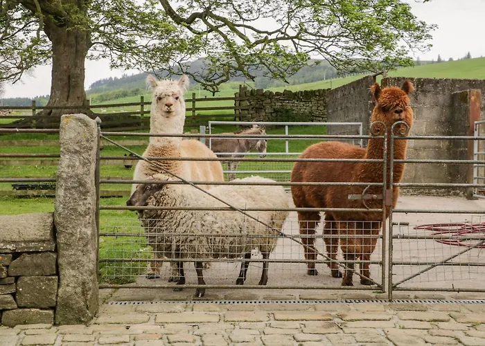 Bay Horse Farm Дом отдыха Скиптон